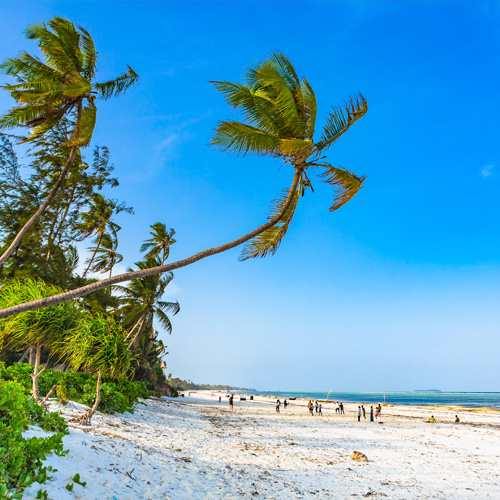 Zanzibar3
